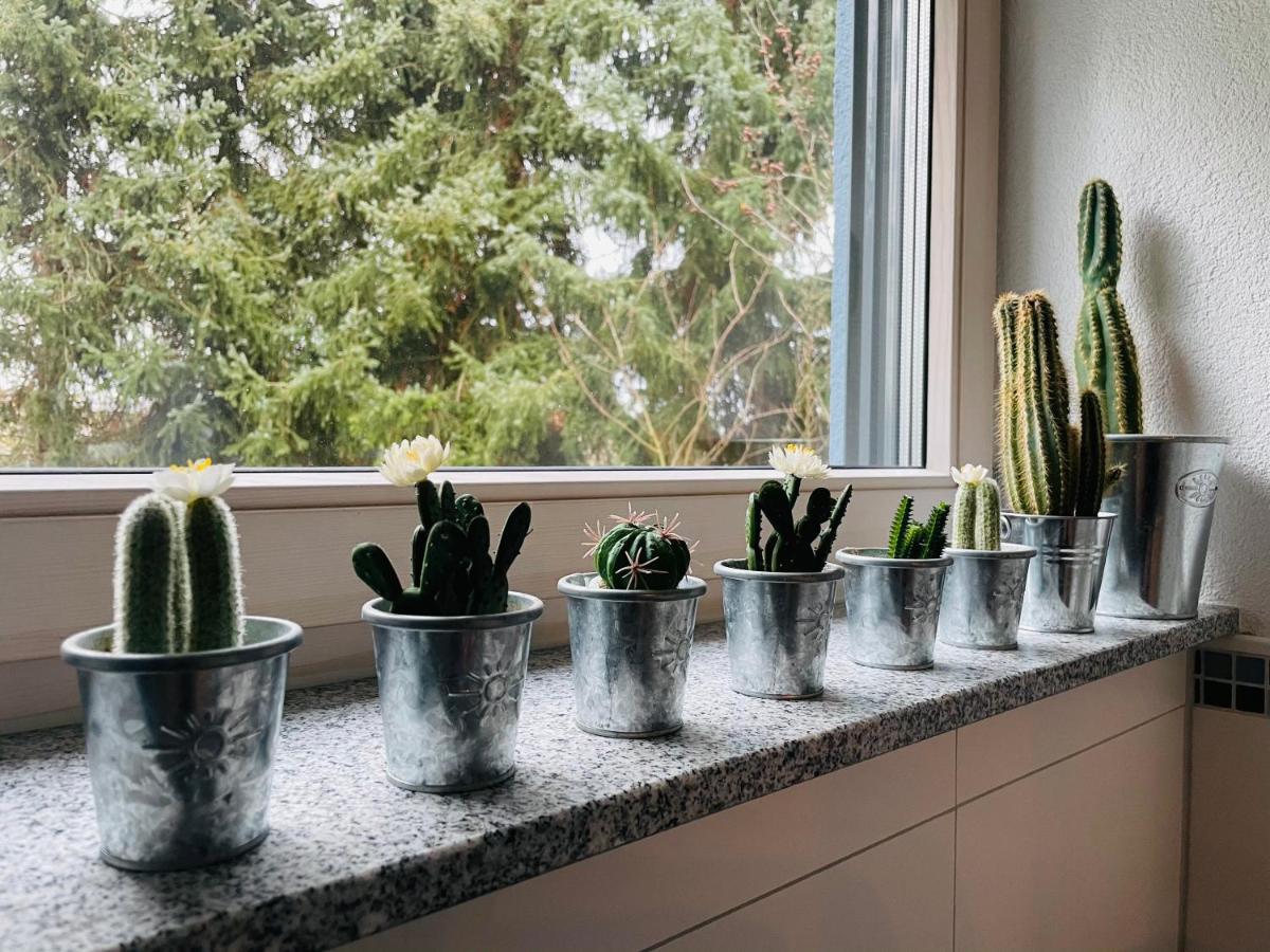 Limes Apartment -Uebernachten Am Limes- Rainau Eksteriør bilde