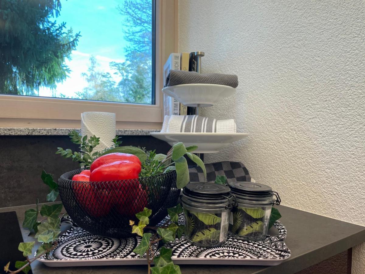 Limes Apartment -Uebernachten Am Limes- Rainau Eksteriør bilde